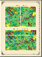 Vignette pour la version du 23 avril 2024 à 20:58